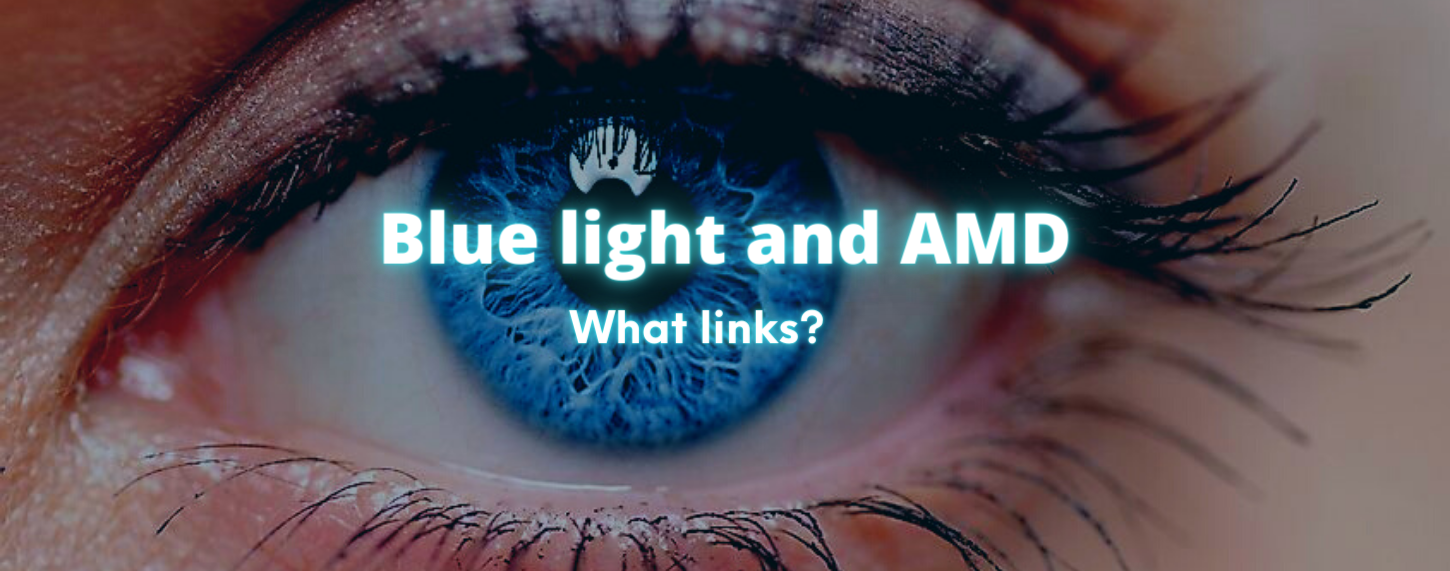 What are the links between blue light and AMD (age-related macular degeneration)?